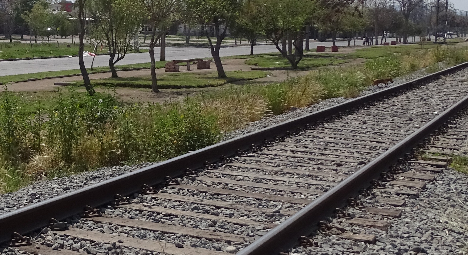 Vias tren